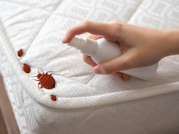Pest Control Cost in Pinedale, WY